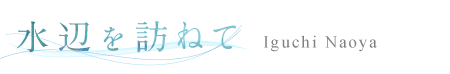 水辺を訪ねて 井口直也